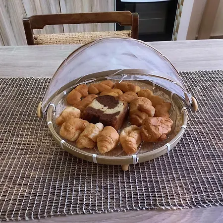 Sam's View Heart - Beautiful With Backyard Apartment