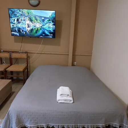 Sam's View Heart - Beautiful With Backyard Apartment