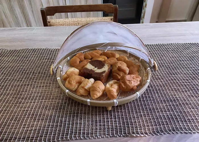 Sam's View Heart - Beautiful With Backyard Apartamento